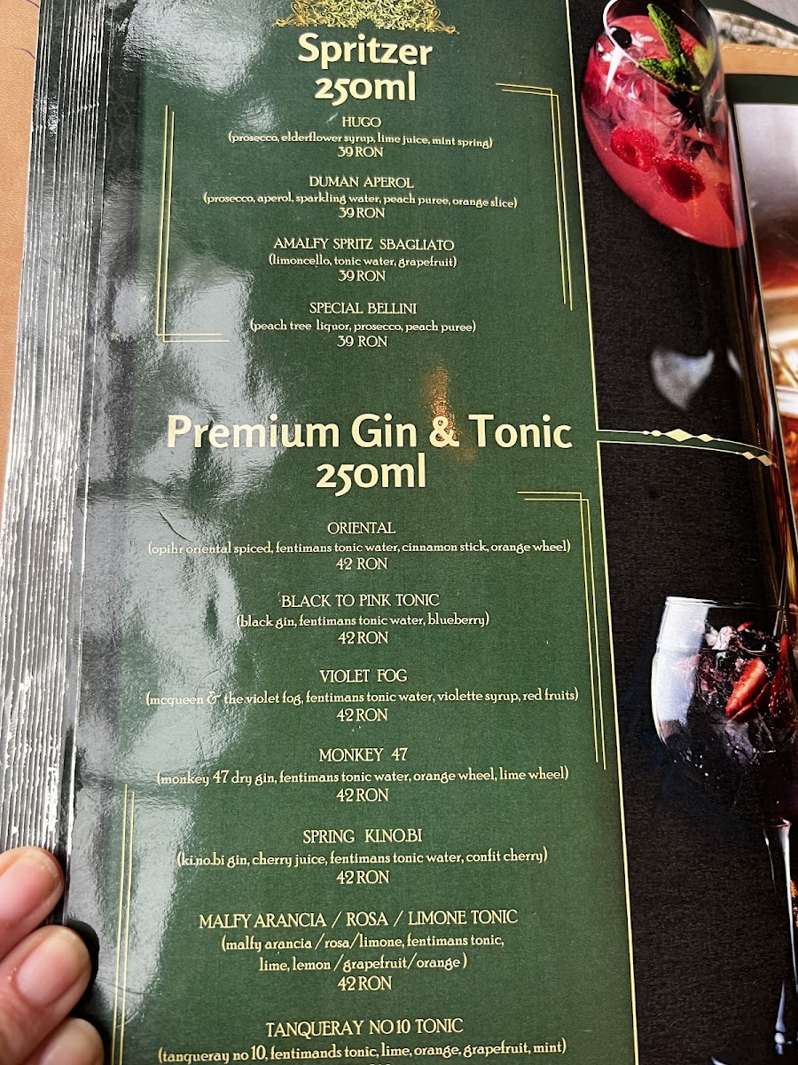 Menu Duman Herastrau-10