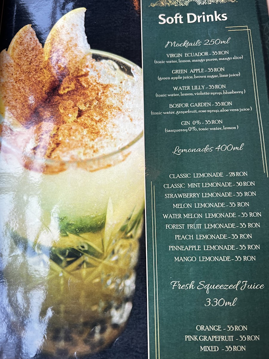 Menu Duman Herastrau-2